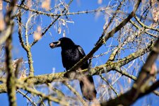 DSC_0430-EDIT.jpg
