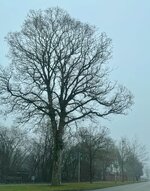 klein_ - 1 (38).jpeg
