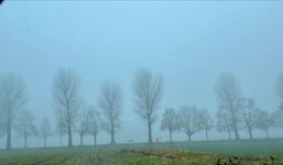 klein_ - 1 (39).jpeg