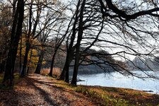 DSC_0355-EDIT.jpg