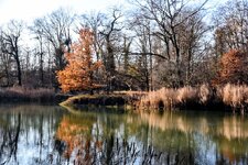 DSC_0398-EDIT.jpg