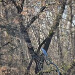 DSC_0386.JPG