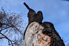 DSC_0221-EDIT-EDIT.jpg