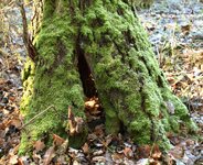 DSC_0370.JPG