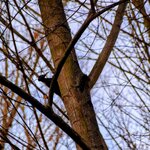 DSC_0006-EDIT-EDIT.jpg
