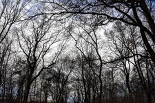 DSC_0023-EDIT.jpg