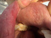IMG_6057.jpeg