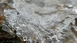 klein_ - 2 (3).jpeg