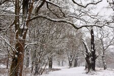 DSC_0100-EDIT.jpg