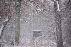 DSC_0109-EDIT.jpg