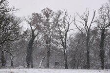 DSC_0111-EDIT.jpg
