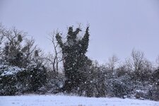 DSC_0141-EDIT.jpg
