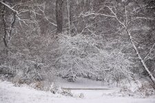 DSC_0131-EDIT.jpg