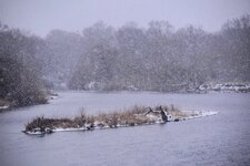 DSC_0155-EDIT.jpg