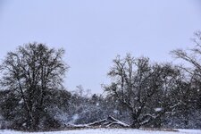 DSC_0144-EDIT.jpg