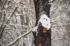 DSC_0115-EDIT.jpg