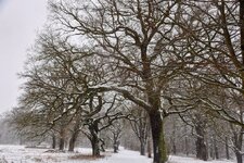 DSC_0120-EDIT.jpg