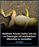 1767629053438.png