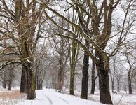 DSC_0061-EDIT (1).jpg
