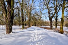 DSC_0129-EDIT.jpg