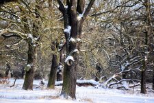 DSC_0112-EDIT.jpg