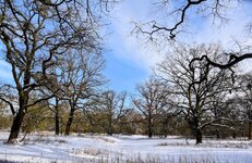 DSC_0127-EDIT.jpg