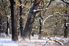 DSC_0113-EDIT.jpg