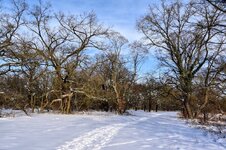 DSC_0218-EDIT.jpg