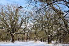DSC_0124-EDIT.jpg
