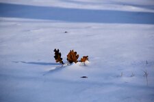 DSC_0192-EDIT.jpg