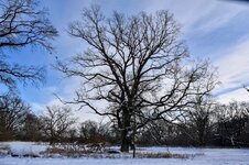 DSC_0182-EDIT.jpg