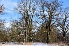 DSC_0152-EDIT.jpg