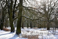 DSC_0122-EDIT.jpg