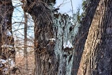 DSC_0234-EDIT.jpg