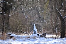 DSC_0204-EDIT.jpg