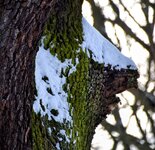 DSC_0131-EDIT.jpg