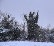 DSC_0141-EDIT.jpg