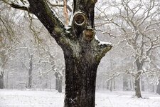 DSC_0128-EDIT.jpg