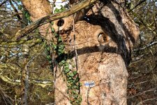 DSC_0215-EDIT.jpg