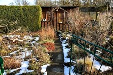 DSC_0039-EDIT.jpg