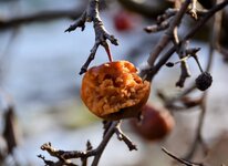 DSC_0070-EDIT.jpg