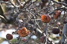 DSC_0089.JPG