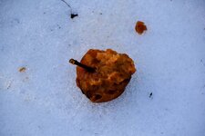 DSC_0063-EDIT.jpg