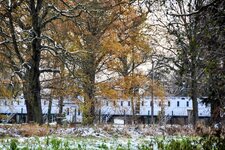 DSC_0126-EDIT.jpg
