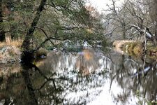 DSC_0170-EDIT.jpg