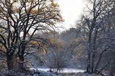 DSC_0017-EDIT.jpg