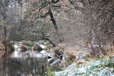 DSC_0088-EDIT.jpg