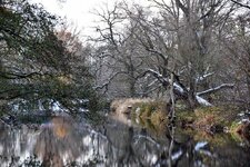 DSC_0171-EDIT.jpg
