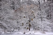 DSC_0173-EDIT.jpg