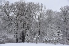 DSC_0092.JPG